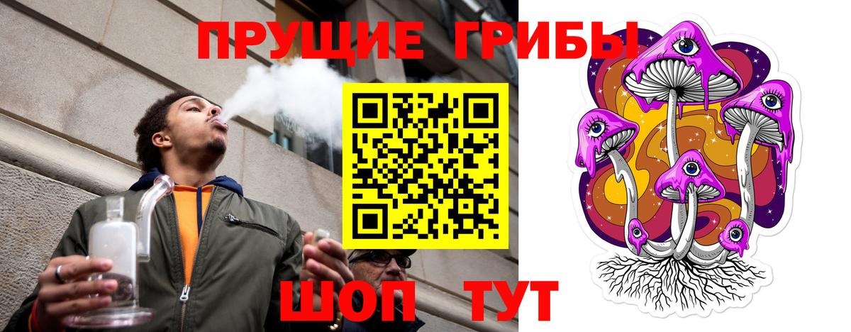 Псилоцибиновые грибы мицелий Новосибирск