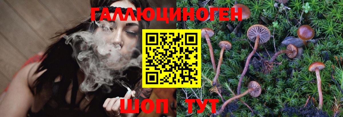 Псилоцибиновые грибы Psilocybe  Вход с VPN  Галлюциногенные грибы GOLDEN TEACHER  Новосибирск 